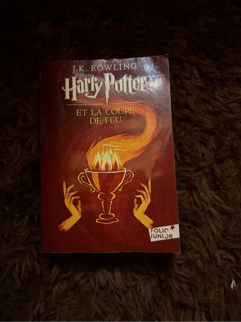 Harry Potter et la Coupe de Feu - (French)